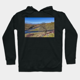 Meldon Hill and Golden Mea Hoodie